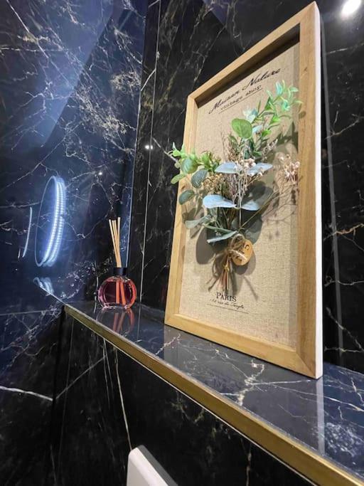 Cozy Rental Spa Schiltigheim Kültér fotó
